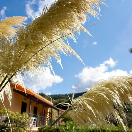 Danila Apartament Portoferraio